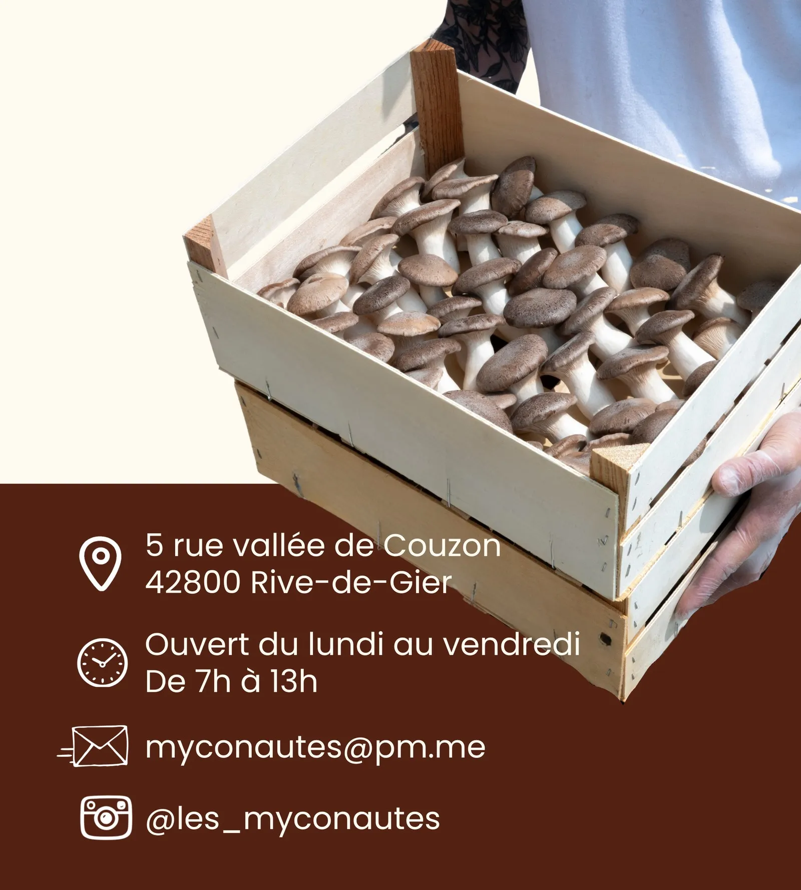 Cagette de pleurotes portée à bout de bras, et nos coordonnées : 5 rue vallée de Couzon, 42800 Rive-de-Gier — ouvert du lundi au vendredi de 7h à 13h.